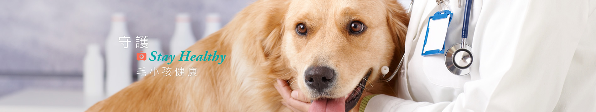 banner2.jpg